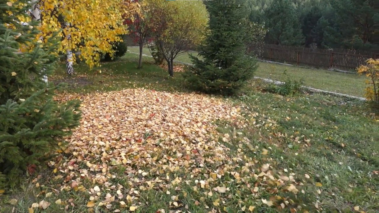 https://voronezh.mslandshaft.ru/storage/app/uploads/public/642/ac5/f22/642ac5f2293e2935715739.jpg